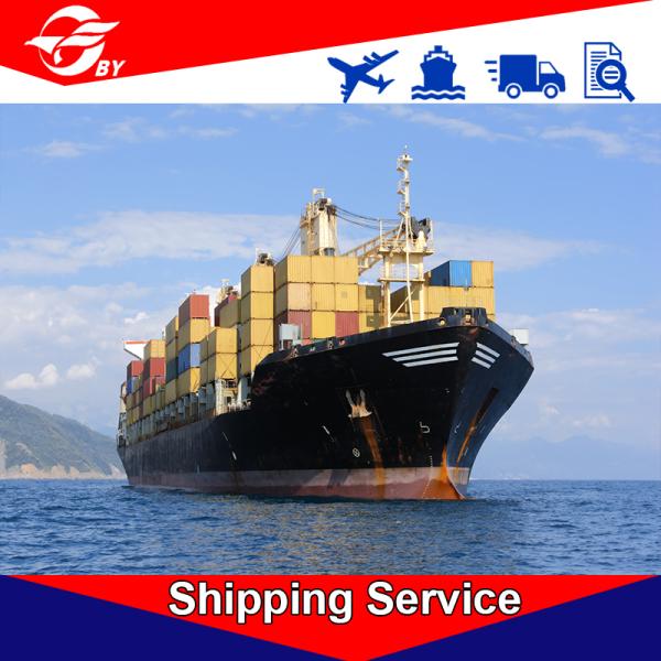 FCL Sea Freight Forwarder , Ocean Shipping Logistics Shenzhen To Hamburg