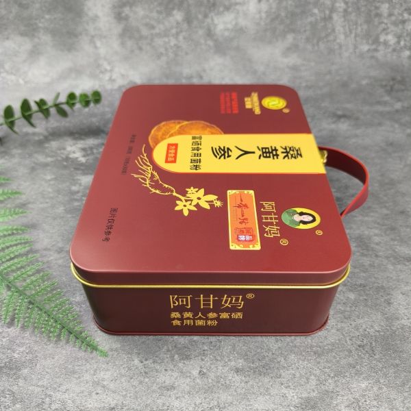 Touristic Large Christmas Tin Box for Gift Candy Cookie Round Metal Cake Bulks With Lid