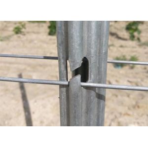 Buy cheap Hot Galvanized Surface Steel Vineyard Posts Rust Resistant And Waterproof product