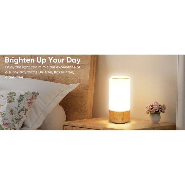 Customizable 10000 Lux Light Therapy Lamp with 100V-240V Input for SAD Mood Lighting