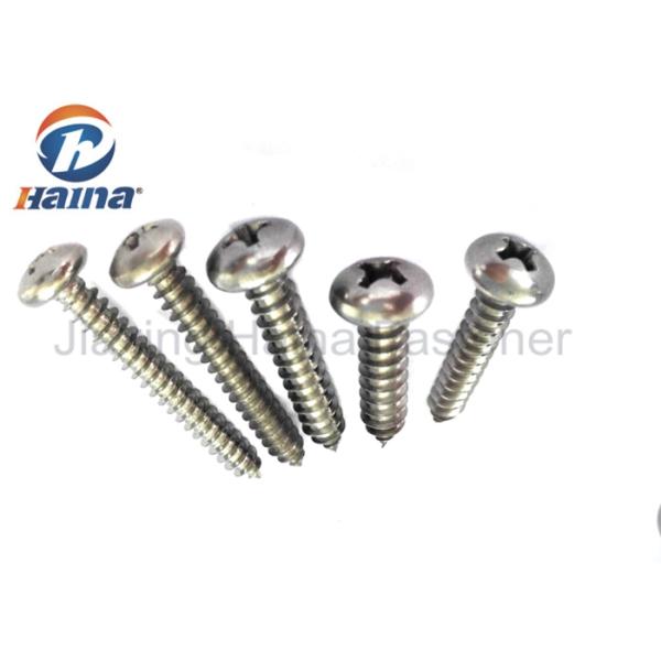 AISI 304 Stainless Steel Self Tapping Sharp Point Pan Head Framing Screws