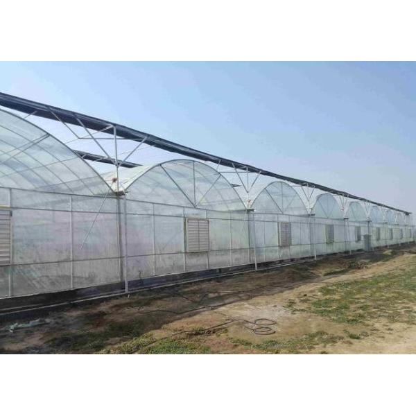 Resource Saving Hydroponic Greenhouse Systems Commercial For Cultivation Leafy Vegetables