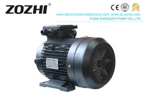 China Cleaning Machine Electric Induction Motor 7.5KW HS132S2-4 With Hollow Shaft on sale