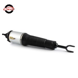 A8 D3 4E0616039 4E0616040 Audi Air Spring