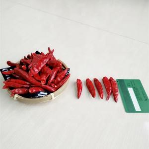 Buy cheap Hot Sweet Paprika Pepper Seeds Moisture 8%-12% Grown And Harvested With Care product