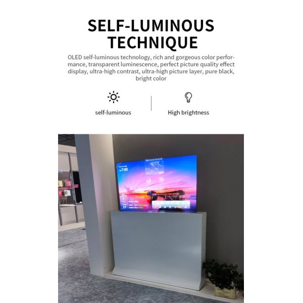30 Inch 60Hz Refresh Rate Clear OLED Display for Smooth Motion – Transparent OLED Screen with Reduced Lagging