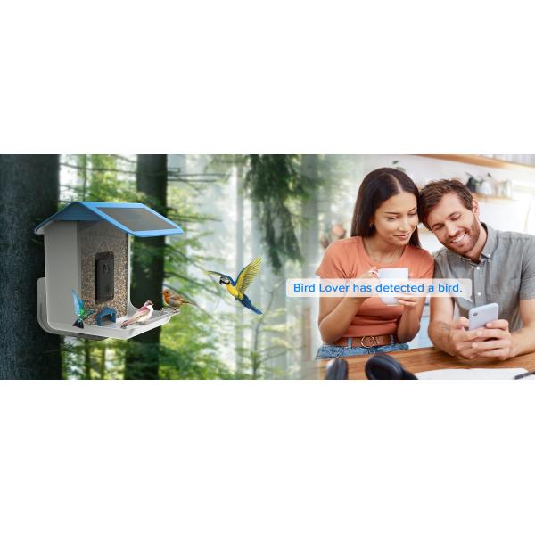 Smart Bird Feeder with Camera Wireless Outdoor, Bird Buddy Feeder Camera, Solar Powered, Camera 1080P HD Video
