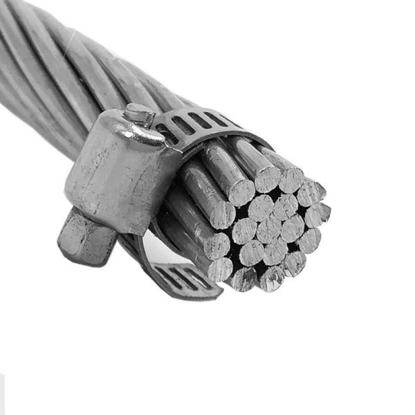 22Kv 240mm2 Bare Conductor Aluminum Overhead Cable ACSR AAAC Conductor