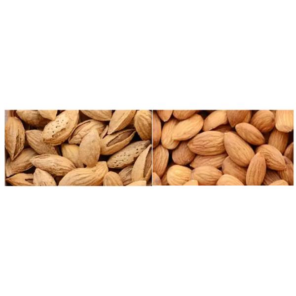 Intelligent FPGA CCD Wheat Cashew Color Sorter Machine