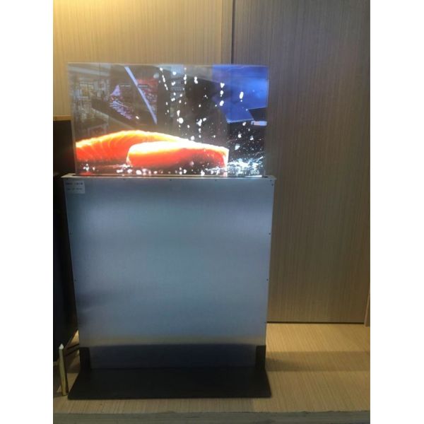 30 Inch Interactive Lifting Transparent OLED Display with Remote Control for Dynamic Commercial Engagement