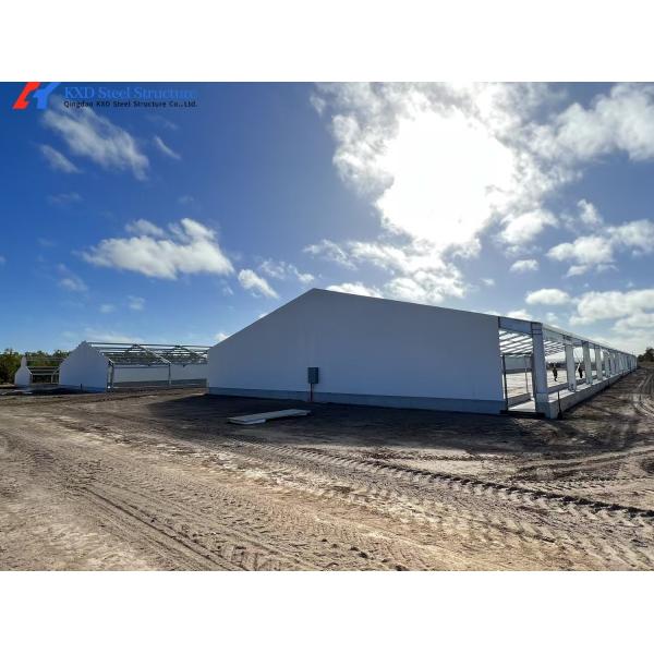 Customized Piggery Shed Steel Structure Animal Husbandry Green House