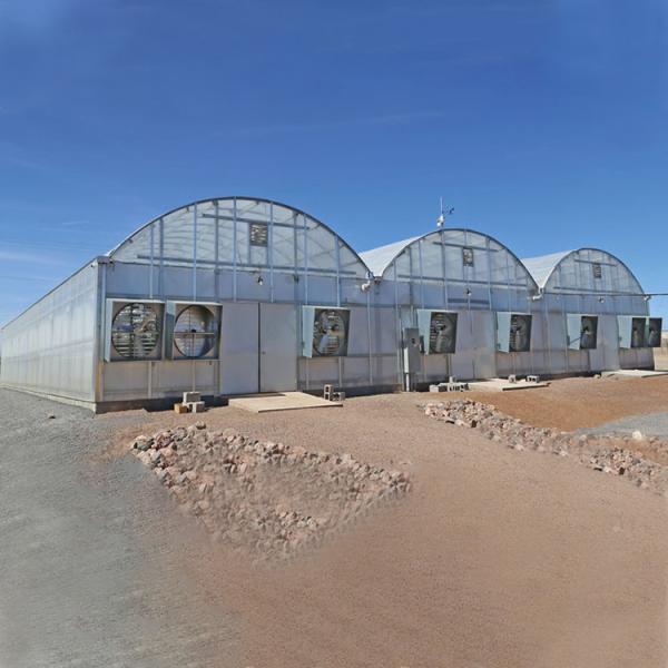 Multi Span Tunnel 8mm Polycarbonate Sheet Greenhouse For Gardening