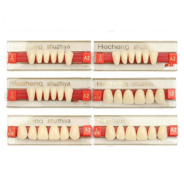 Dental Materials Multi Layer Synthetic Dental Resin Dentures Teeth FDA
