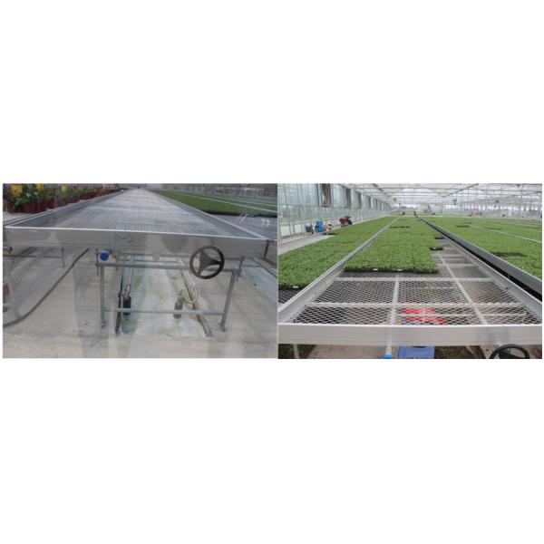 Agricultural Commercial Indoor Mesh Wire Greenhouse Grow Table Rolling Bench For Seeding