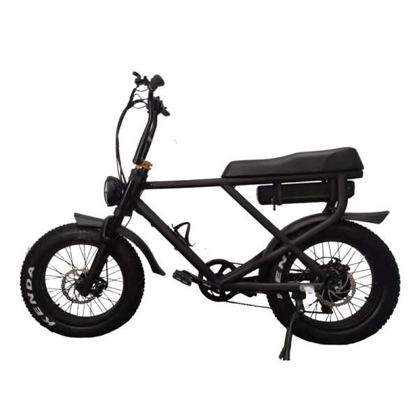 Disc Brake Electric Bike 2022 Version Snow Beach Fast Speed Customized E Bicycle 2 Seats