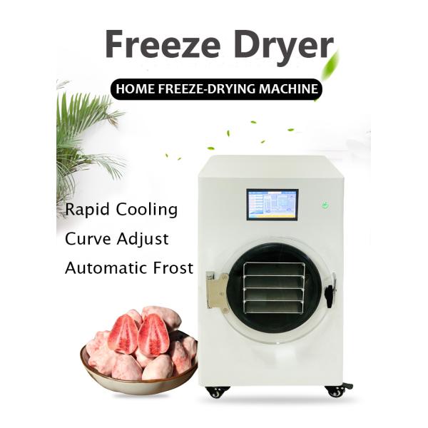 Industrial Lab Home Mini Freeze Dryer Instant Coffee Herb Flowers Food Lyophilizer