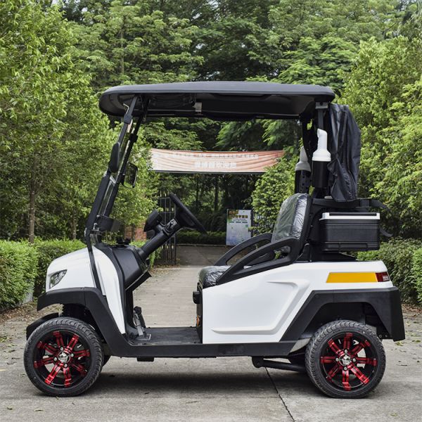 MINI 2 Seats Aluminum Wheel Electric Golf Cart with AC CONTROLLER