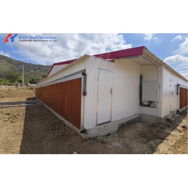 Hot-dip Galvanized Automatic Broiler Chicken Cage System with Adjustable Vents and Corrosion Resistant Design