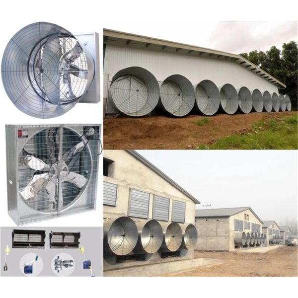 Low Cost Automatic Poultry Equipment with Feed Delivery, Ventilation, and Cooling Systems