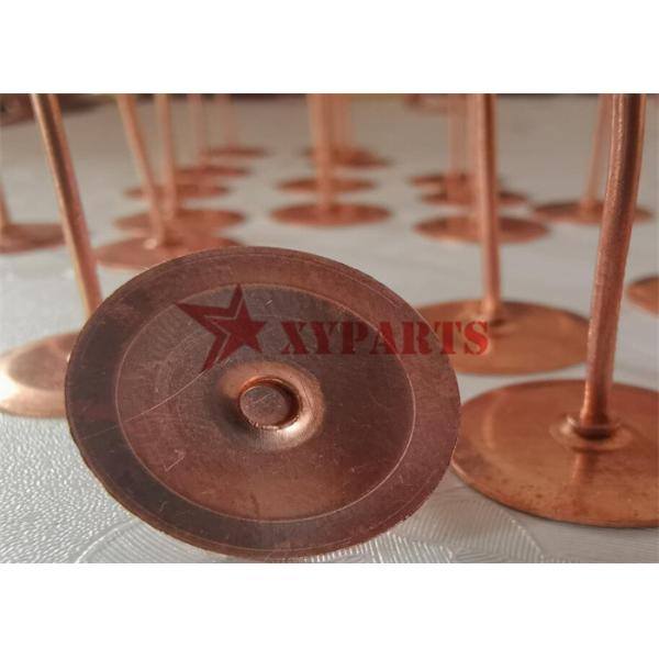 2 Mm X 20 Mm Copper Disc Rivets For Fixing Of Fibre Cement Slates