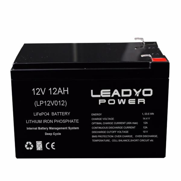 Rechargeable Lifepo4 Deep Cycle Batteries , 12V 10ah 12ah Lithium Ion Batteries