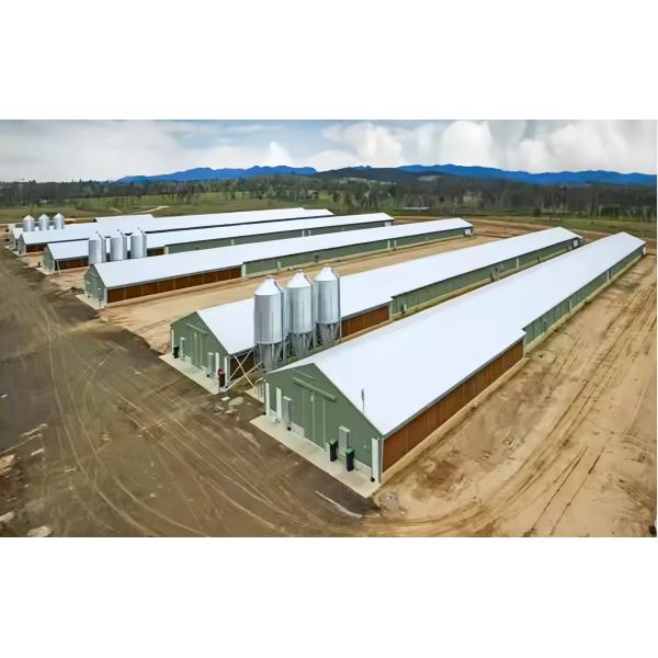 Poultry Steel Frame Prefab House Automatic Broiler Chicken Farming Equipment