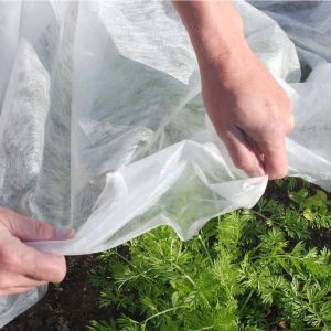 Buy cheap Spunbond 180Gram Fabric Plant Cover PP Non Woven Material from wholesalers