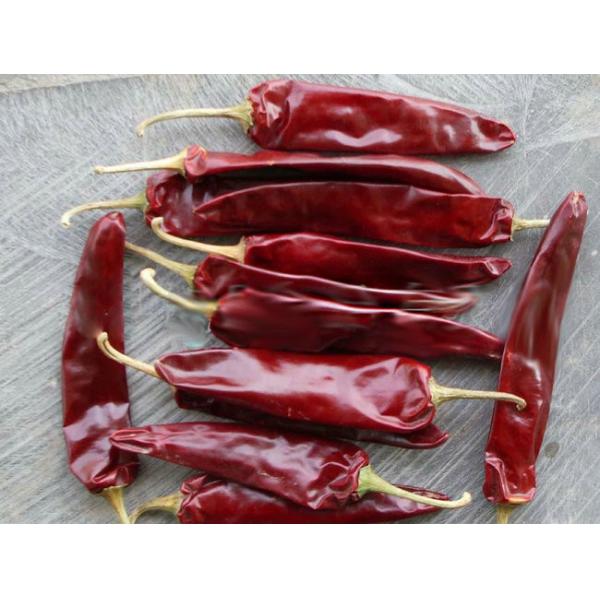 Seasoning Dried Guajillo Chili Peppers Pungent Flavor A Grade