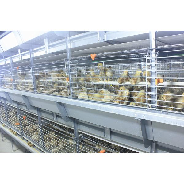 208 Birds Broiler Chicken Cage