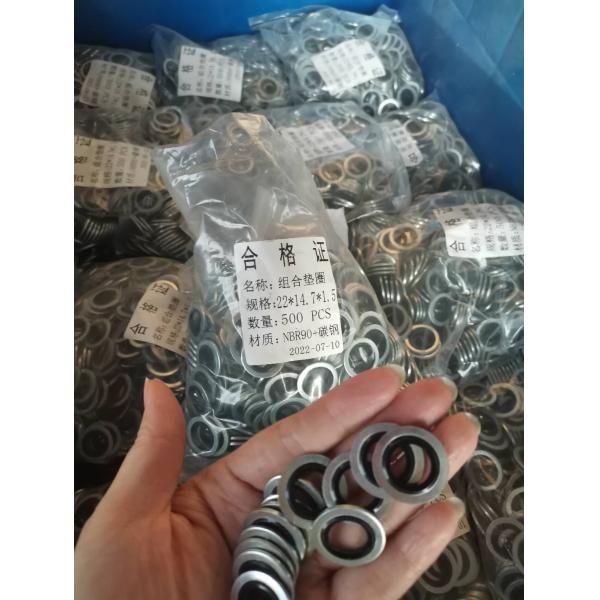 NBR Gasket Seal Combination Gasket Washer Seal Thrust Washer