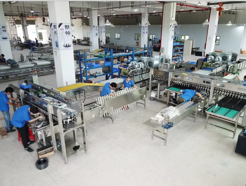 Sanitizer Sprayer Egg Washing Drying Machine With 3000 Eggs/Hour Capacity