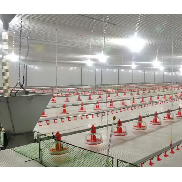 Feed Pan System for Broilers Steel Poultry House Automatic Livestock Equipment