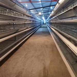 China 120 Birds Battery Chicken Cage Nigeria Poultry Farm Galvanized Q235 3 Layers on sale