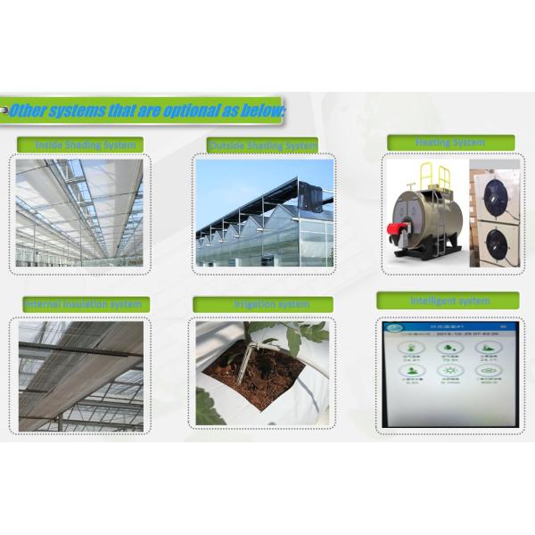 Electrical Control Mushroom Growing Greenhouse With Hot Galvanizing Pipe Structure