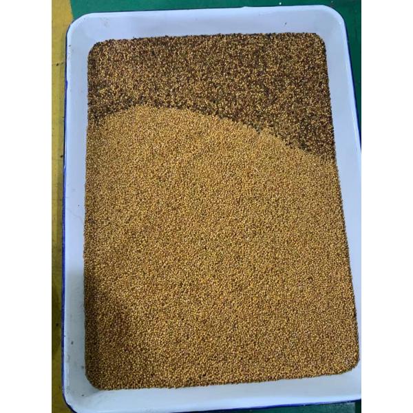 WENYAO Coleseed Colour Separation Machine , Rapeseed Ccd Color Sorter