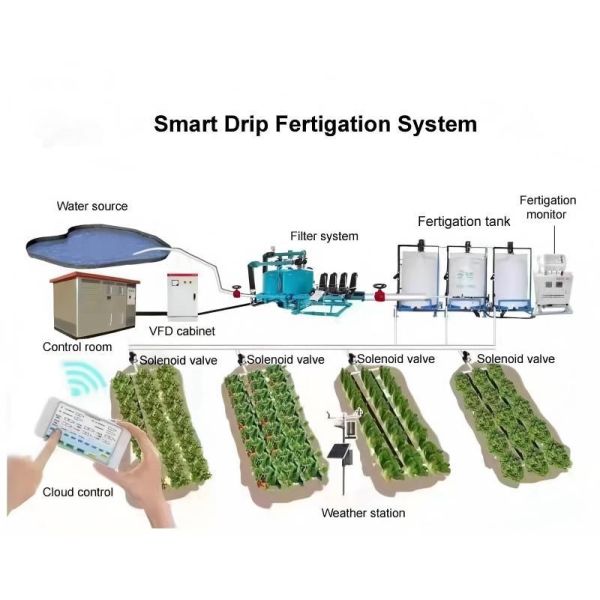Hot-dip Galvanized Steel Greenhouse for Vegetable Farming with Customizable Span and Integrated Environmental Control