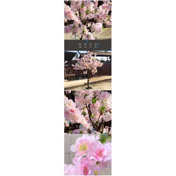 Pest Free Artificial Cherry Blossom Tree For Restaurant / Cinema
