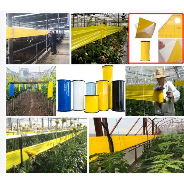 Yellow Sticky Trap Making Machine / Flying Glue Trap Making Machine / Mouse Adhesive Automatic Pneumatic Provided