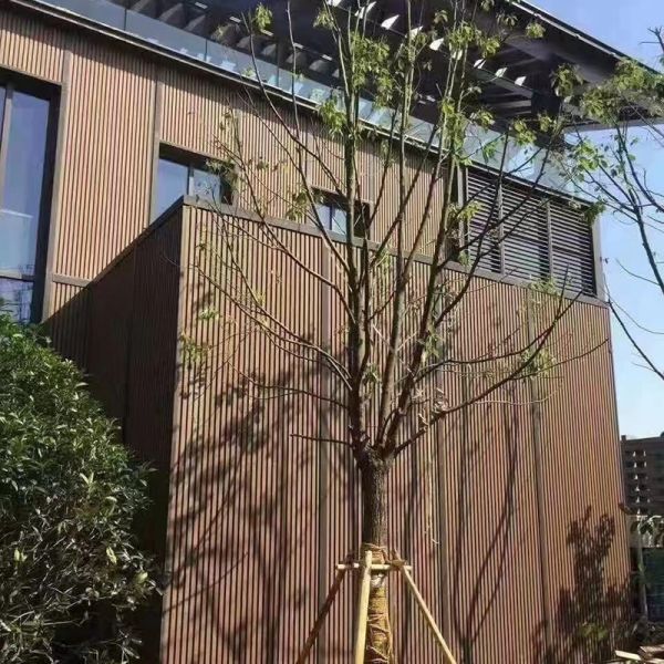 ASA Co Extruded Heavy Duty WPC Exterior Wall Cladding 171*14mm