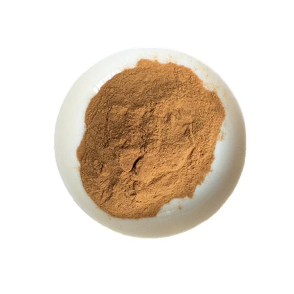 Anti Fatigue 1kg Natural Wild Yam Plant Extract Powder