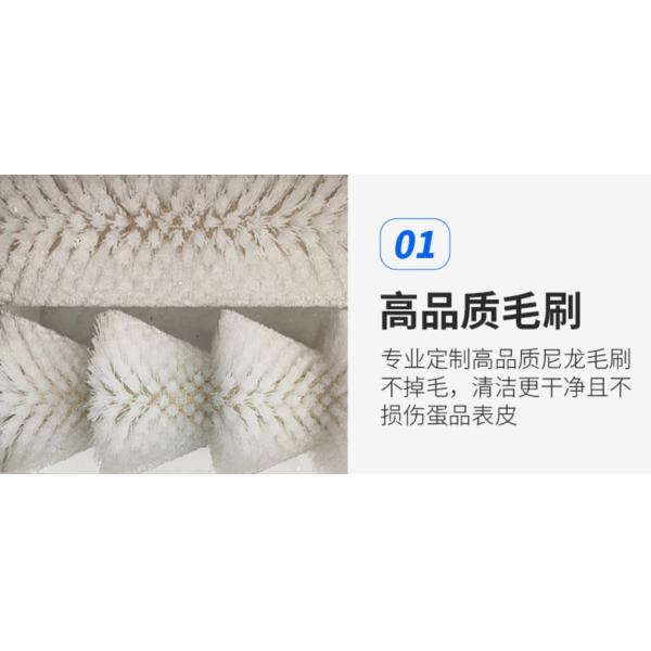 High Quality Grade High Speed Zenyer Egg Drying Dirty Seperate Removing Machine