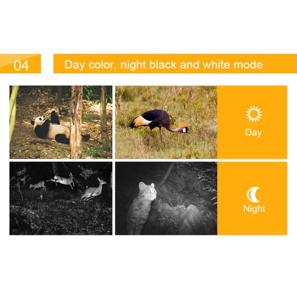 Ip65 Bluetooth Wifi Trail Camera Fast Trigger Time Remote Waterproof Wildlife Camera