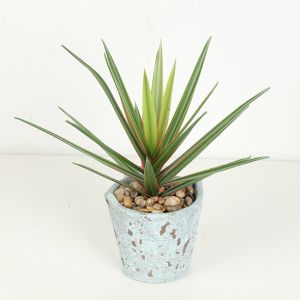 Buy cheap High Imitation Flexible Glue Agave Artificial Bonsai Tree Eco - Friendly product