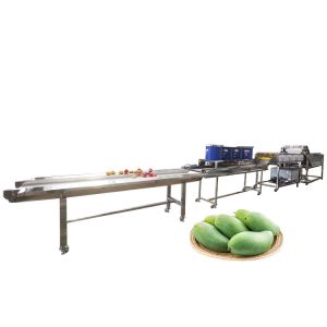 Farm Vegetable Processing Leafy Vegetables Processing Machine
