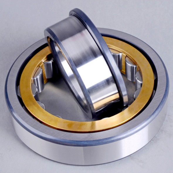 NJ200 Series Single Row Roller Bearing NJ220 NJ222 NJ226 Cylindrical Roller