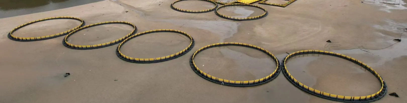 Leave old, rusty farming methods in the past. Step into tomorrow with advanced HDPE fish cage technology