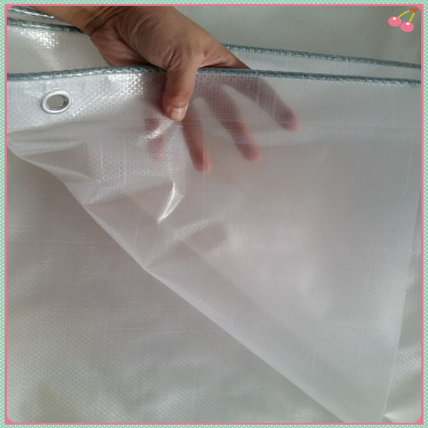 Clear plastic tarpaulin,clear mesh fabric tarpaulin