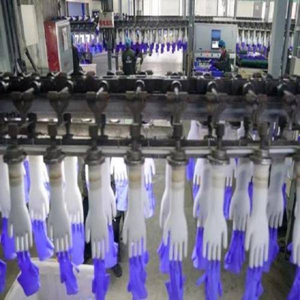 Medical Latex Gloves Production Line Nitrile Gloves Production Line Disposable