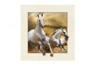 China Stock Horse Image 5D Pictures Lenticular Photo Printing PET/PP Lenticular Printing on sale