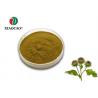 Brown Yellow Freeze Dried Powder Natural Burdock Root Extract Powder for sale